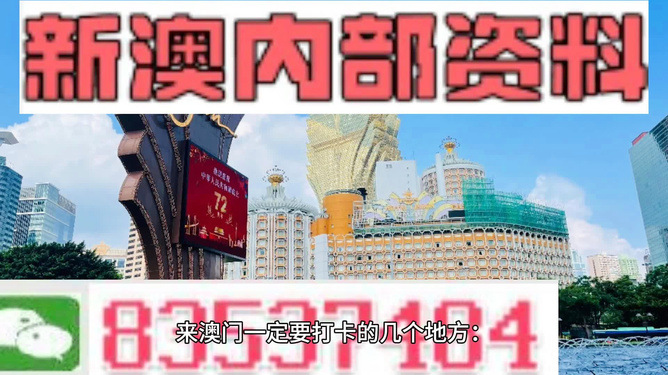 新澳门天天资料精选三字头中特,数据分析解释定义_动态版87.533