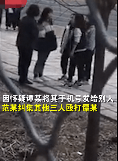 校园暴力事件引发深思，初中生校内遭群殴的反思与探讨