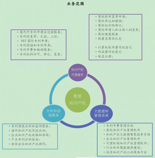 域名年费详解，费用构成与影响因素全面解析