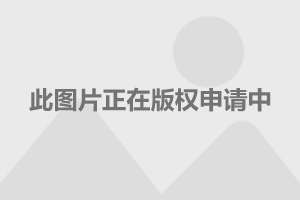 2024年香港免费资料推荐,精细解读解析_复刻版88.276