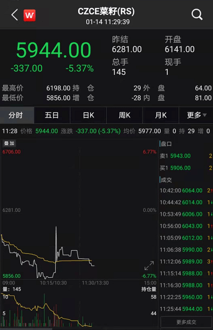 曾道道人资料免费大全,决策资料解释落实_GM版23.896