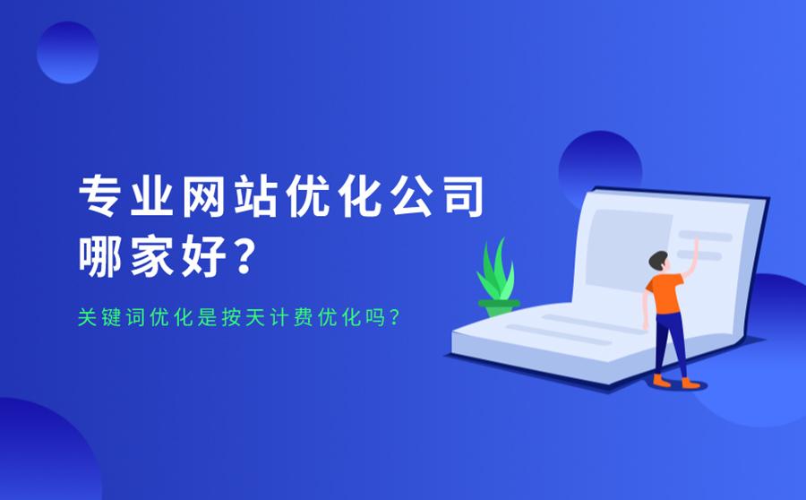 专业网站优化公司助力提升在线业务竞争力