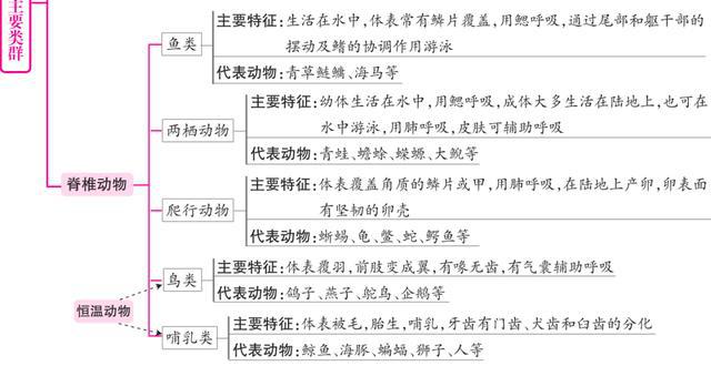 正版资料免费资料大全更新时间,最新答案解释定义_The68.570