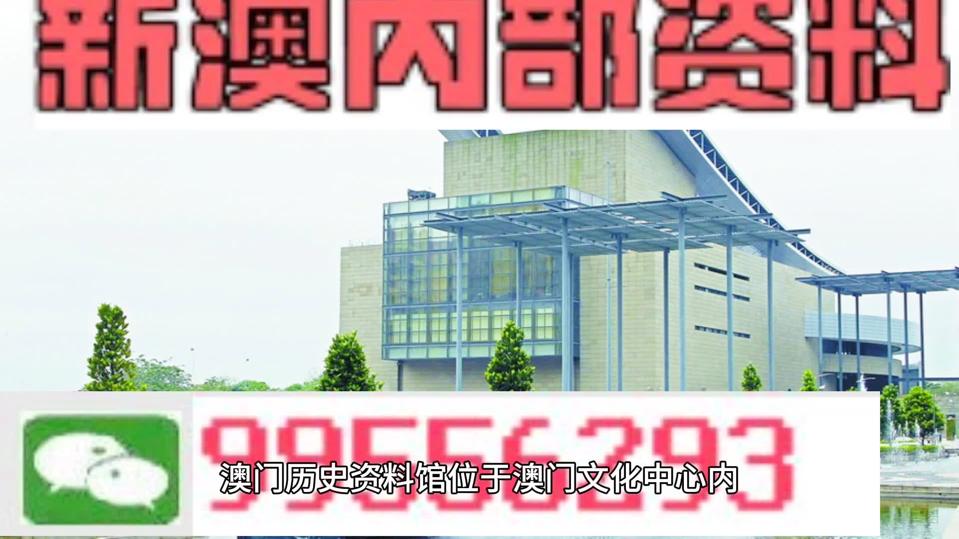 2024年新澳门天天开彩,经典案例解释定义_静态版23.729