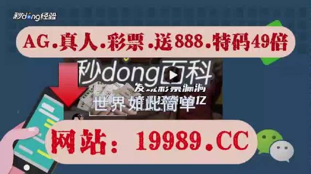 2024澳门天天开好彩大全开奖结果,深入解答解释定义_X87.745