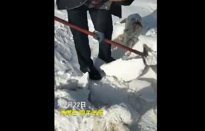 东北雪下奇缘，孩童雪堆挖出三室一厅奇迹