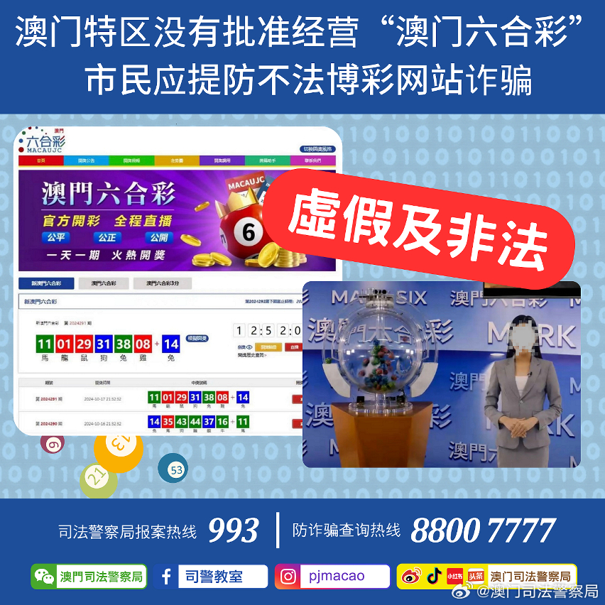 新澳门特免费大全,迅速执行设计计划_豪华款87.879