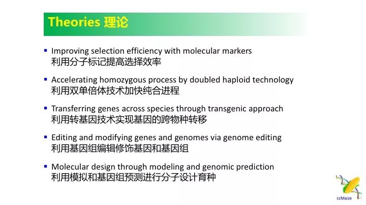 澳门三肖三码精准100%公司认证,持续计划实施_挑战版14.603