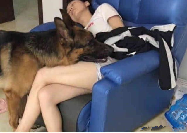 女子遭恶犬袭击，司机鸣笛英勇救援