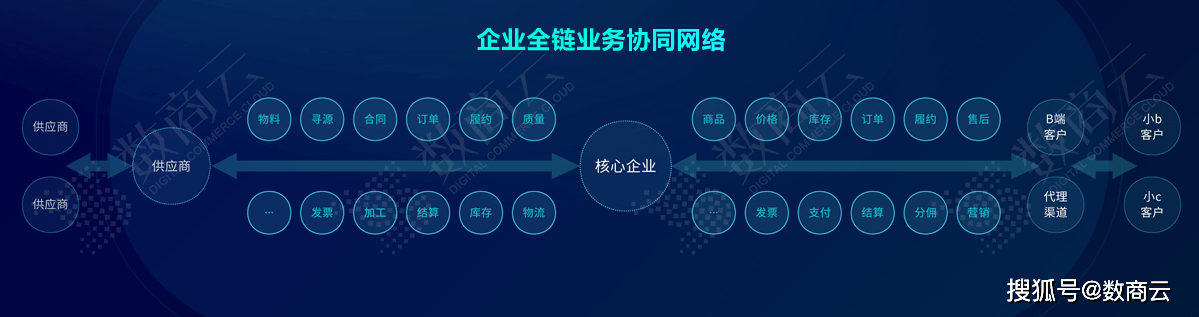 精准一肖三码,实效性策略解读_冒险款75.441