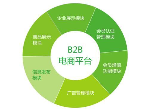 B2B建站方案，构建企业间高效交易平台的全面指南