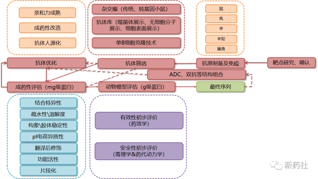 医疗网站开发流程图表的构建与解析指南