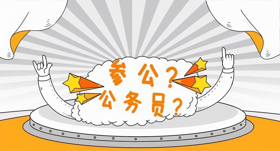 机关的深层含义与外延探索，定义、内涵及解读