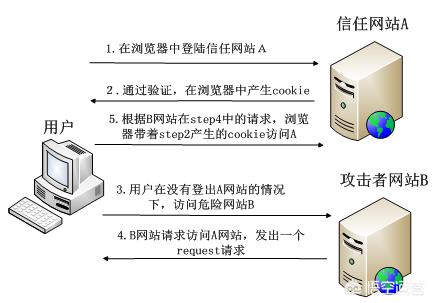 网站漏洞解析与应对策略