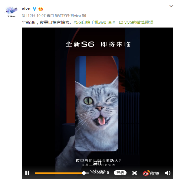 网曝多人合伙骗领虐猫事件，道德败坏与法律责任的探讨