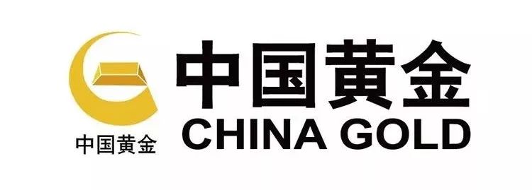 中国黄金集团人事变动背后的深度探究与未来展望