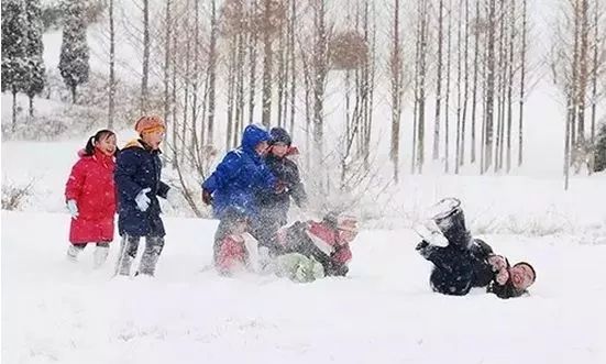 哈尔滨首个大雪人亮相，历史与创意的冬日交汇点