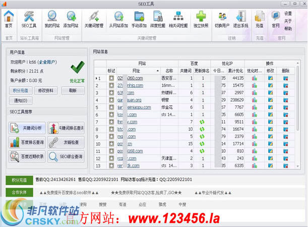 SEO快速提高排名策略与实践指南