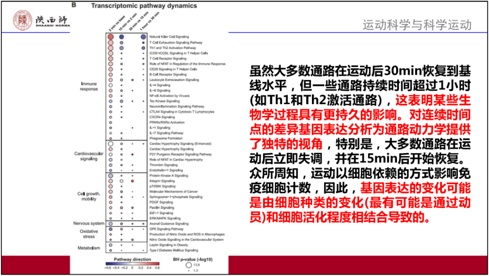 新澳好彩免费提供资料,准确资料解释定义_Plus85.851