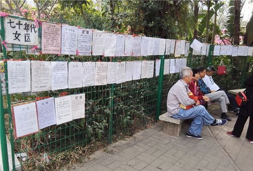 高圆圆携五岁女儿公园游玩，亲子时光温馨画面曝光