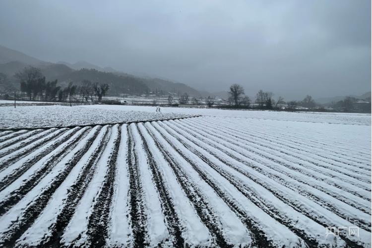 全国多地降雪纷飞，共赏冬日雪景奇趣