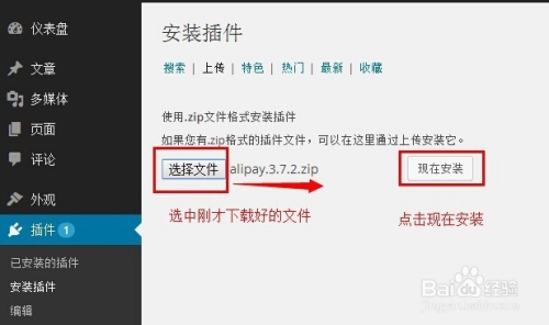 构建网站支付接口的关键步骤，从基础到实现全解析