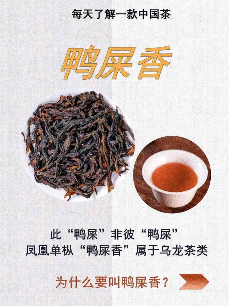 鸭屎香茶叶与鸭屎关系探究，揭秘背后的故事与真相