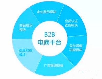 B2B网站开发，构建商业桥梁的新时代解决方案