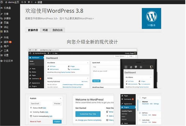 WordPress博客程序，构建个人网络平台的强大工具利器