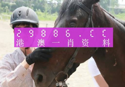 澳门精准一肖一码一一中,动态词语解释落实_网红版53.420