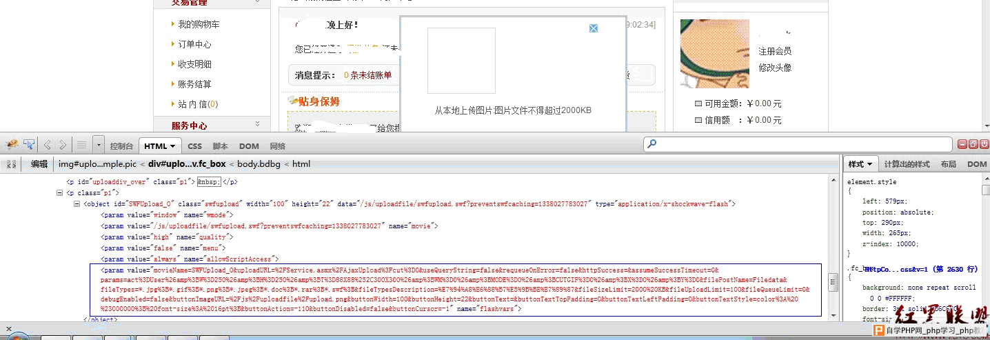 网页渗透教程，入门与实践操作指南