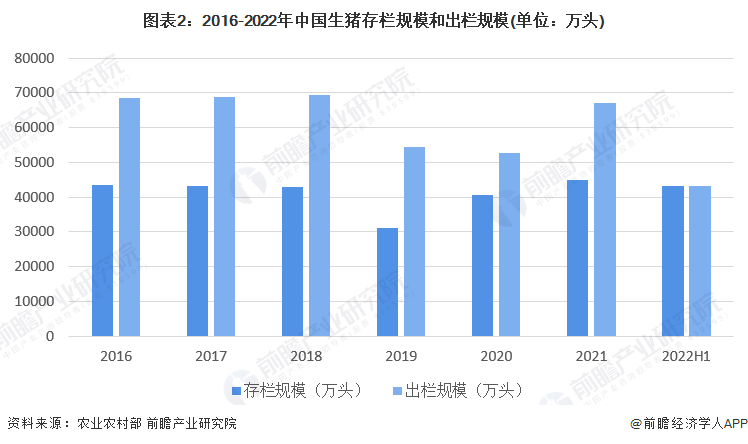 2025军残涨幅最新消息,全面设计执行方案_FT84.254