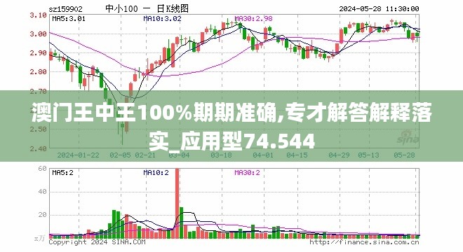 2024澳门王中王100%期期中,数据解析支持策略_N版77.741