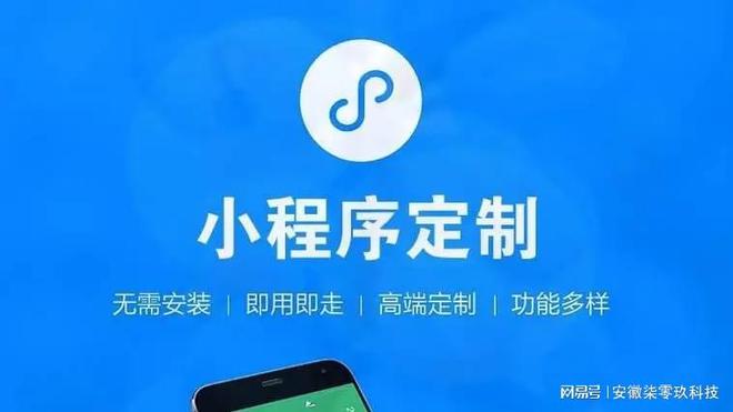 小程序开发公司数量深度剖析