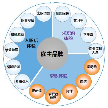 品牌定位策略成功案例分析，揭秘一个品牌的成功之道