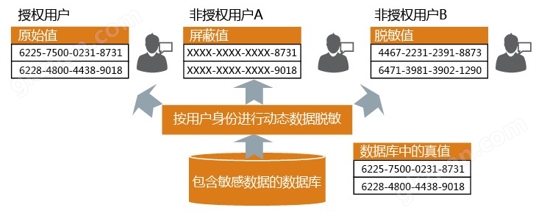 数据隐私保护措施的深度解析