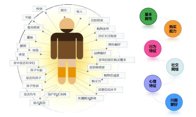 用户画像分析详解，步骤与方法探讨