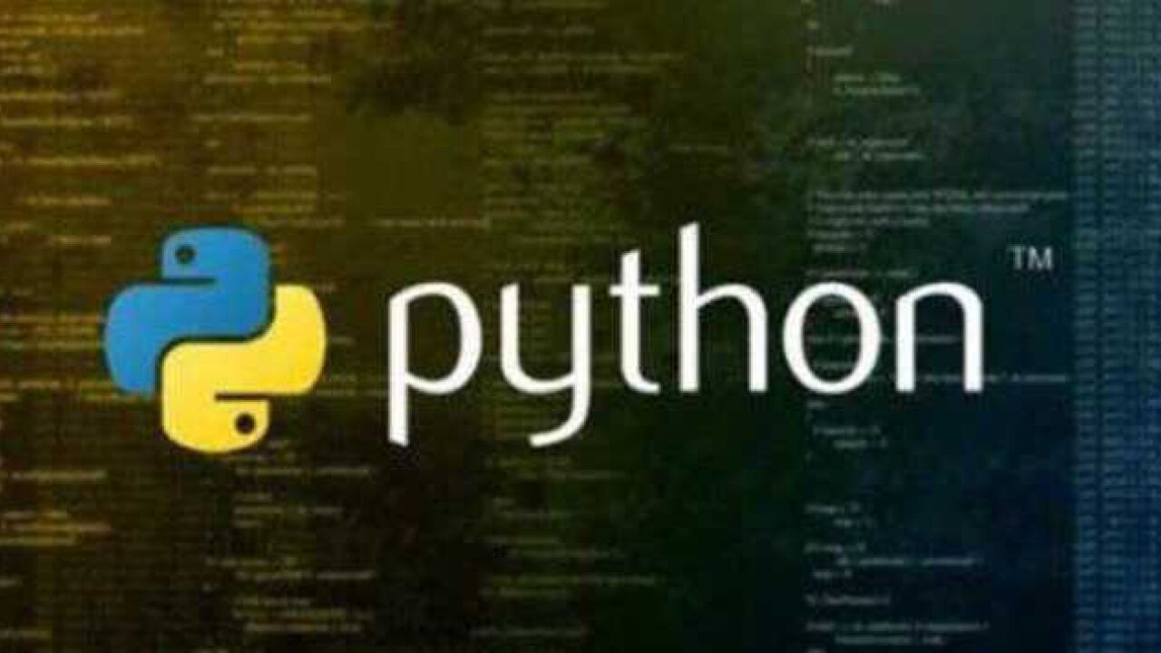 姐姐的Python，编程路上的暖心导航