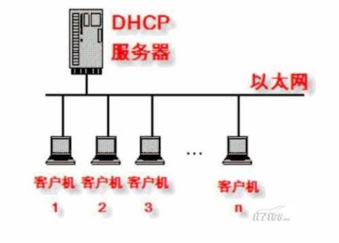 服务器网络维护，企业运营的核心保障要素