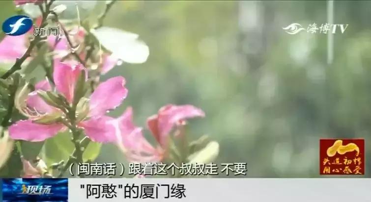 厦门图书馆流浪汉事件背后深层次问题的探讨与回应