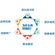 新SEO网站优化排名策略及其影响力深度解析