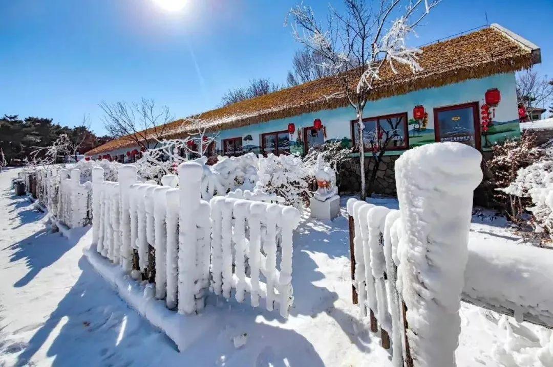 黑龙江雪乡泼水成冰背后的风险与科学原理揭秘