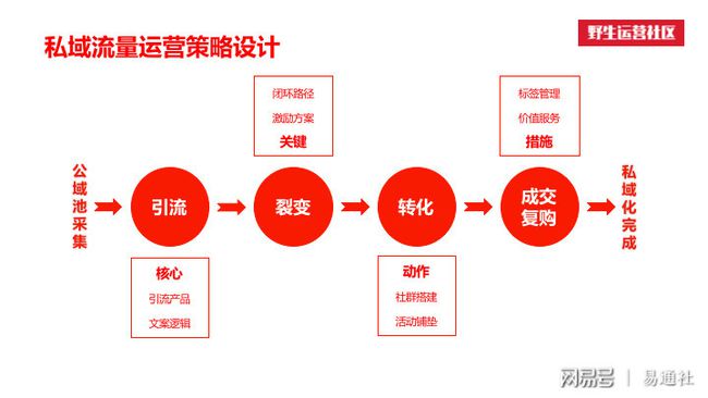 玩转互联网，如何获取高流量策略？