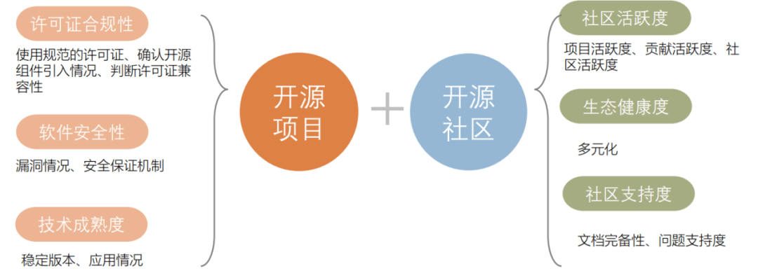 社区网站开发流程全面解析