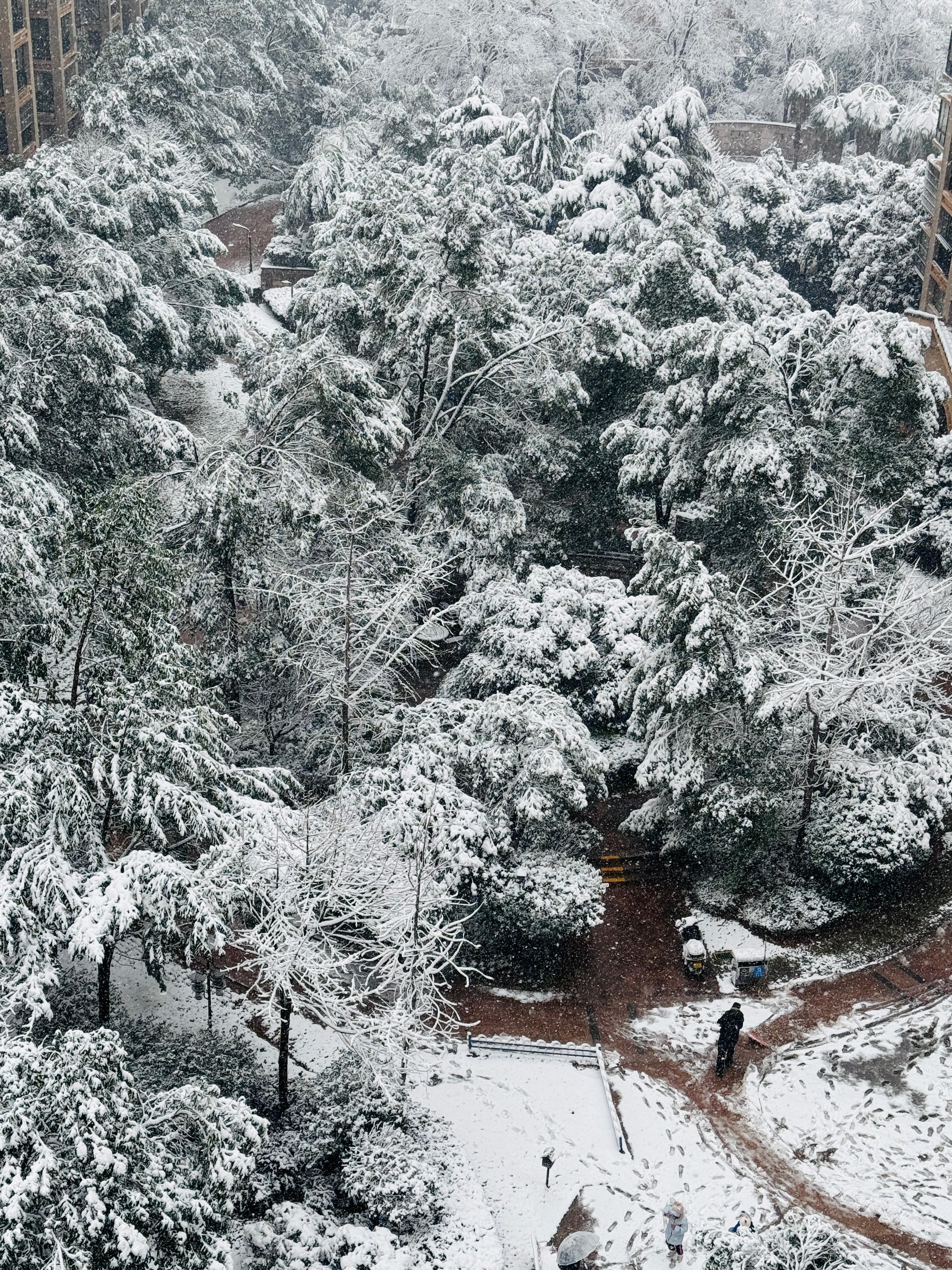 长沙雪景，冬日浪漫与惊喜的邂逅