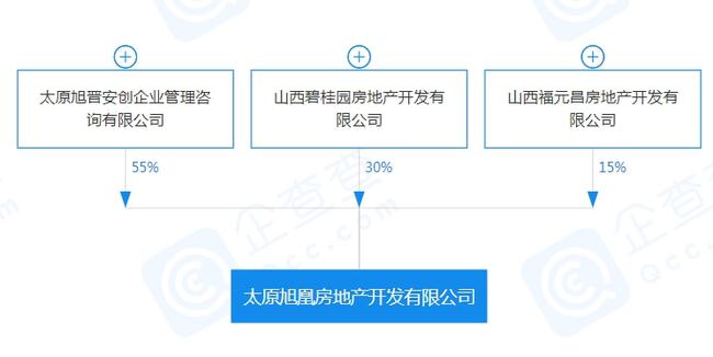 房地产开发企业管理平台，构建高效协同管理体系之道