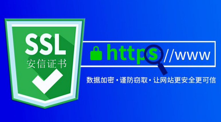 SSL证书申请费用全解析，保障网络安全需知多少费用？