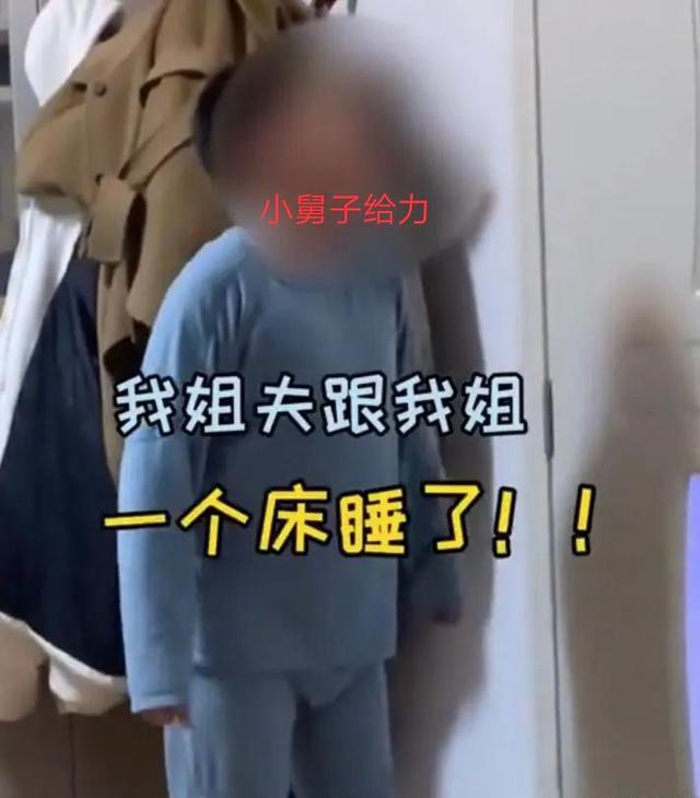 男子住女友家五年分手获判赔23万，现代情感与财产纠葛引深思