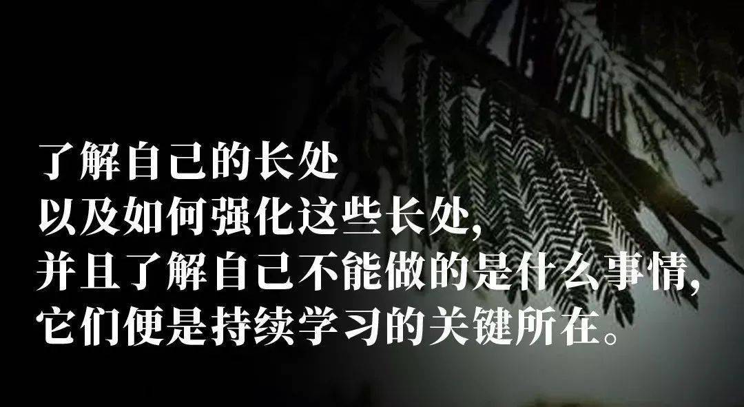 揭秘人类最根本的能力，深藏不露的核心素质是什么？