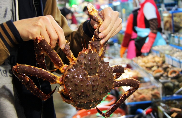 韩国老丈人的帝王蟹盛宴，海洋美食盛宴之旅体验